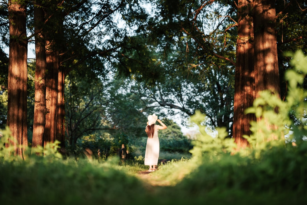 rural japan countryside woman smartphone