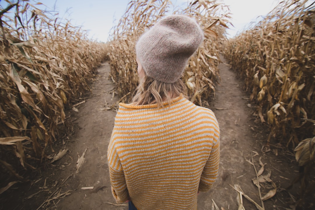 two paths choice woman decision