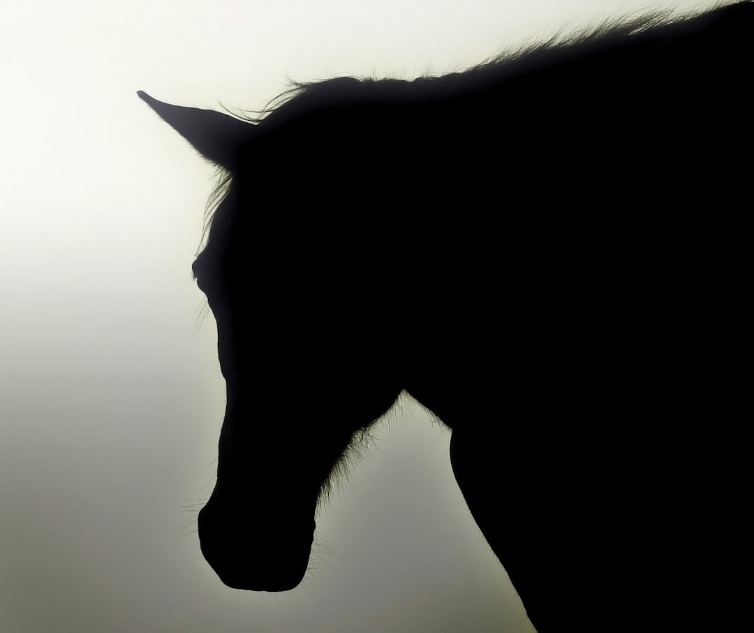 silhouette portrait side profile