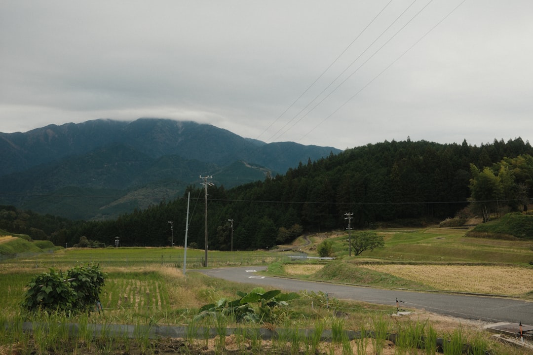 japanese couple countryside wedding