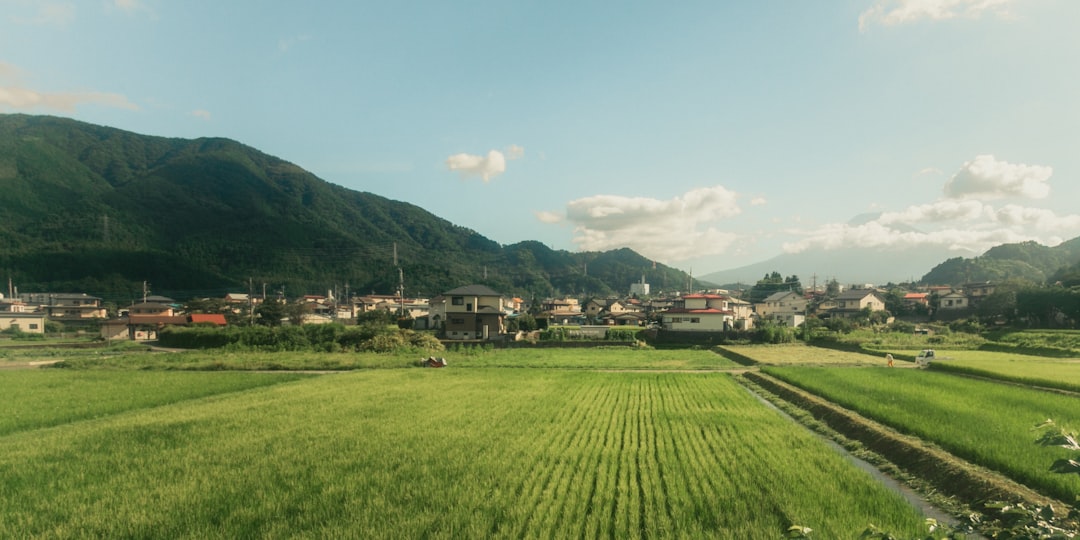 rural japan countryside lifestyle