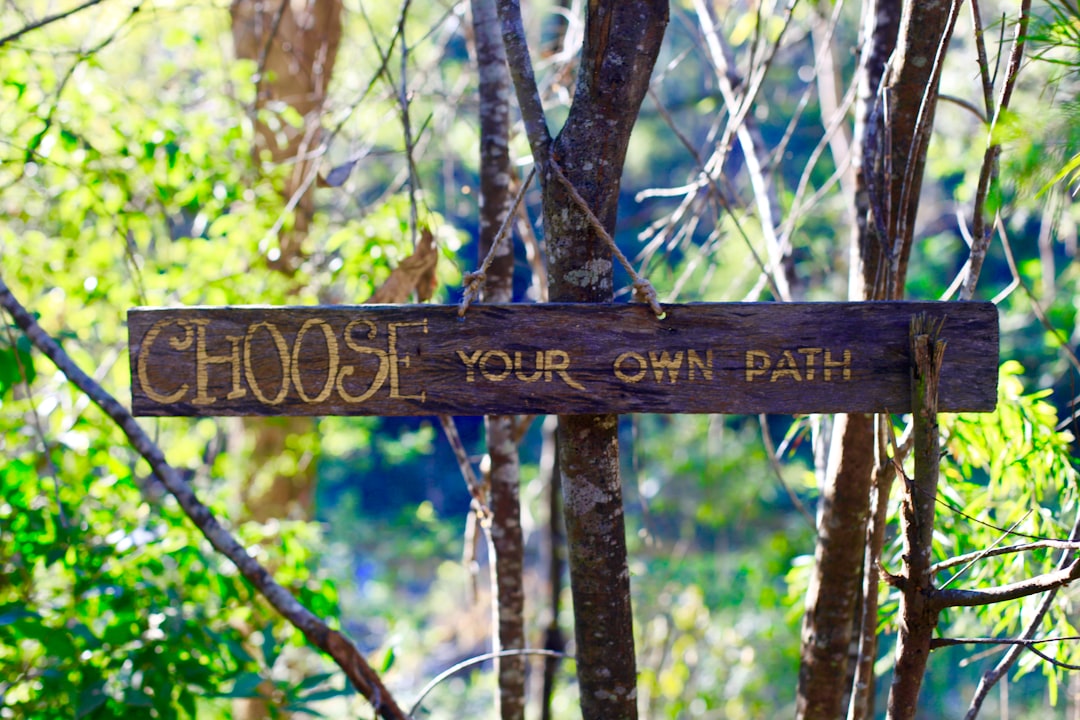 three options choice path