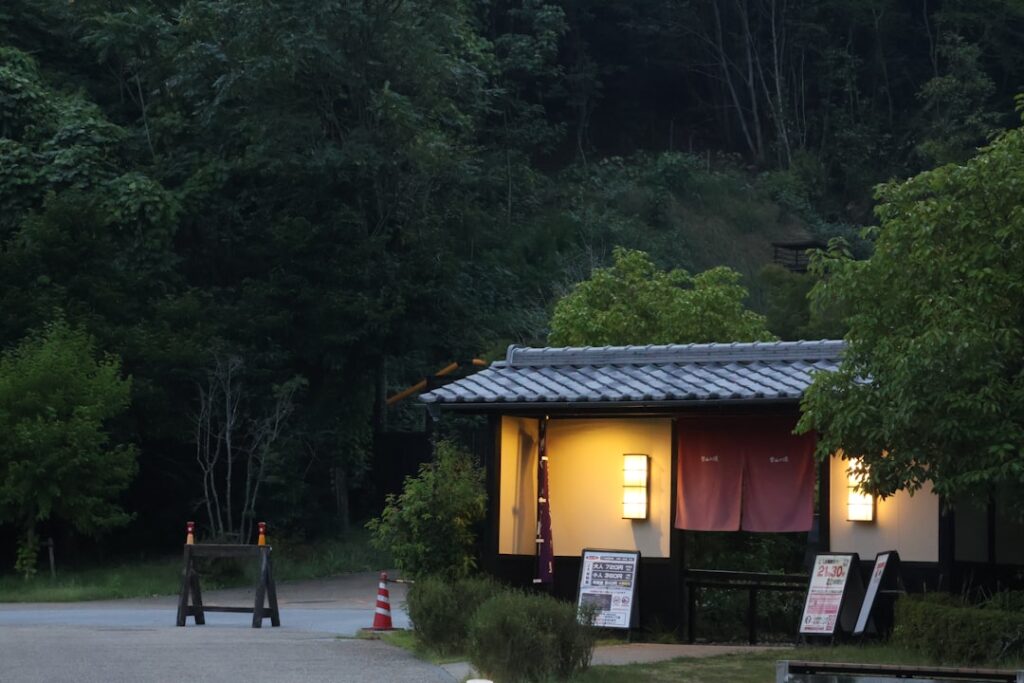 rural japan woman smartphone evening