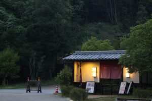 rural japan woman smartphone evening