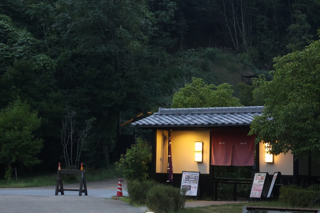 rural japan woman smartphone evening