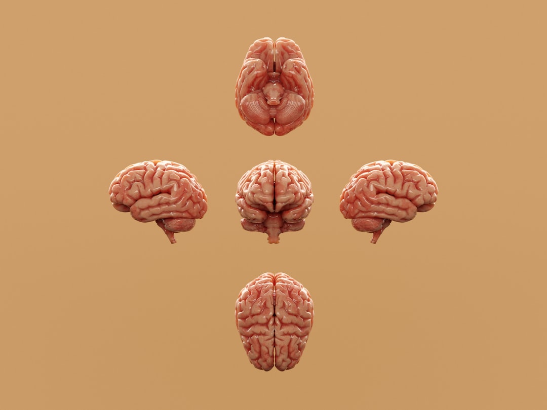 psychology books brain illustration