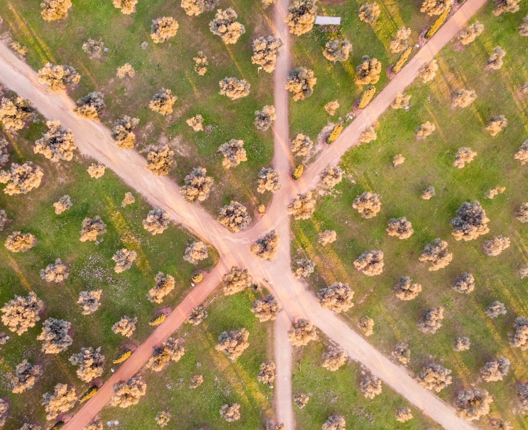 three different paths diverging concept