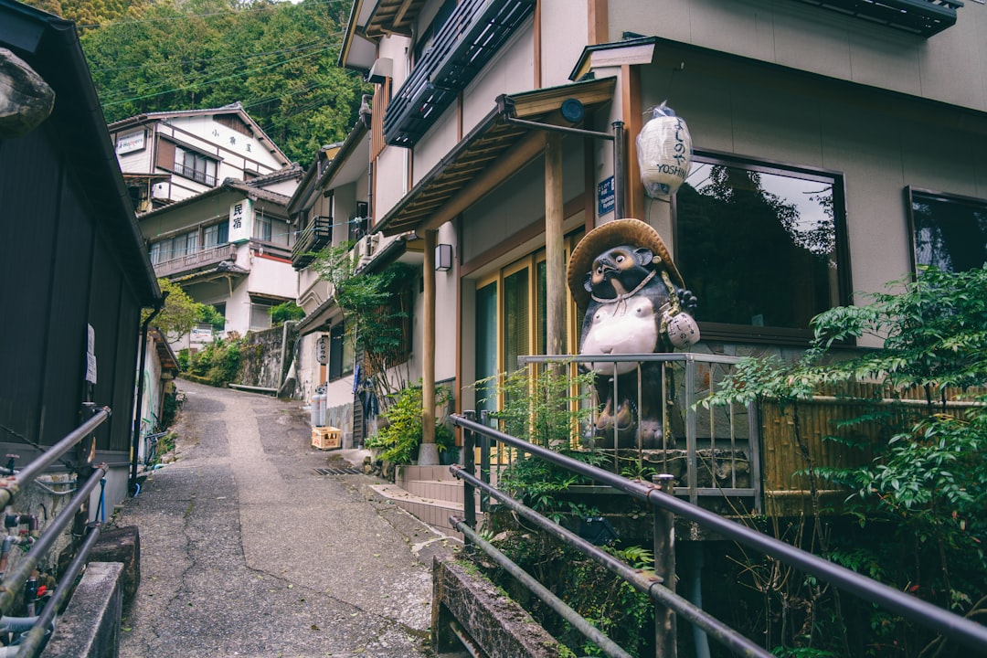woman looking smartphone rural town japan