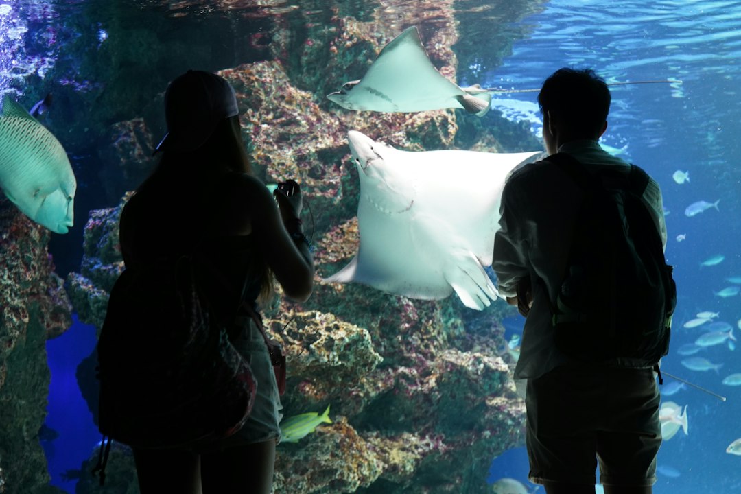 couple visiting aquarium together