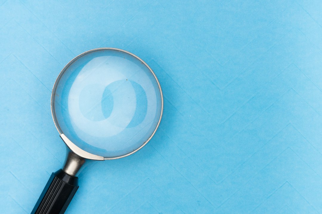 checklist magnifying glass profile